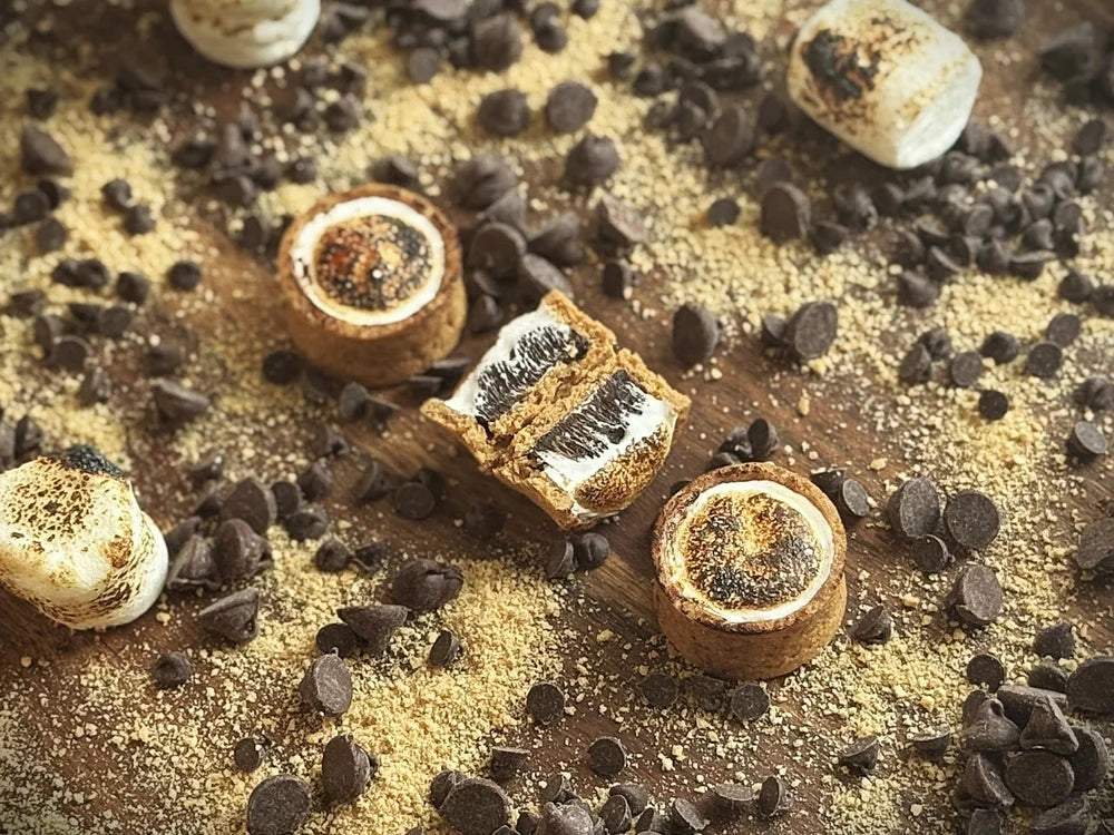 S'mores Minis
